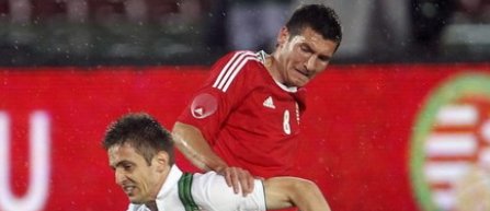 Euro 2012: Ungaria - Irlanda 0-0, in meci de pregatire